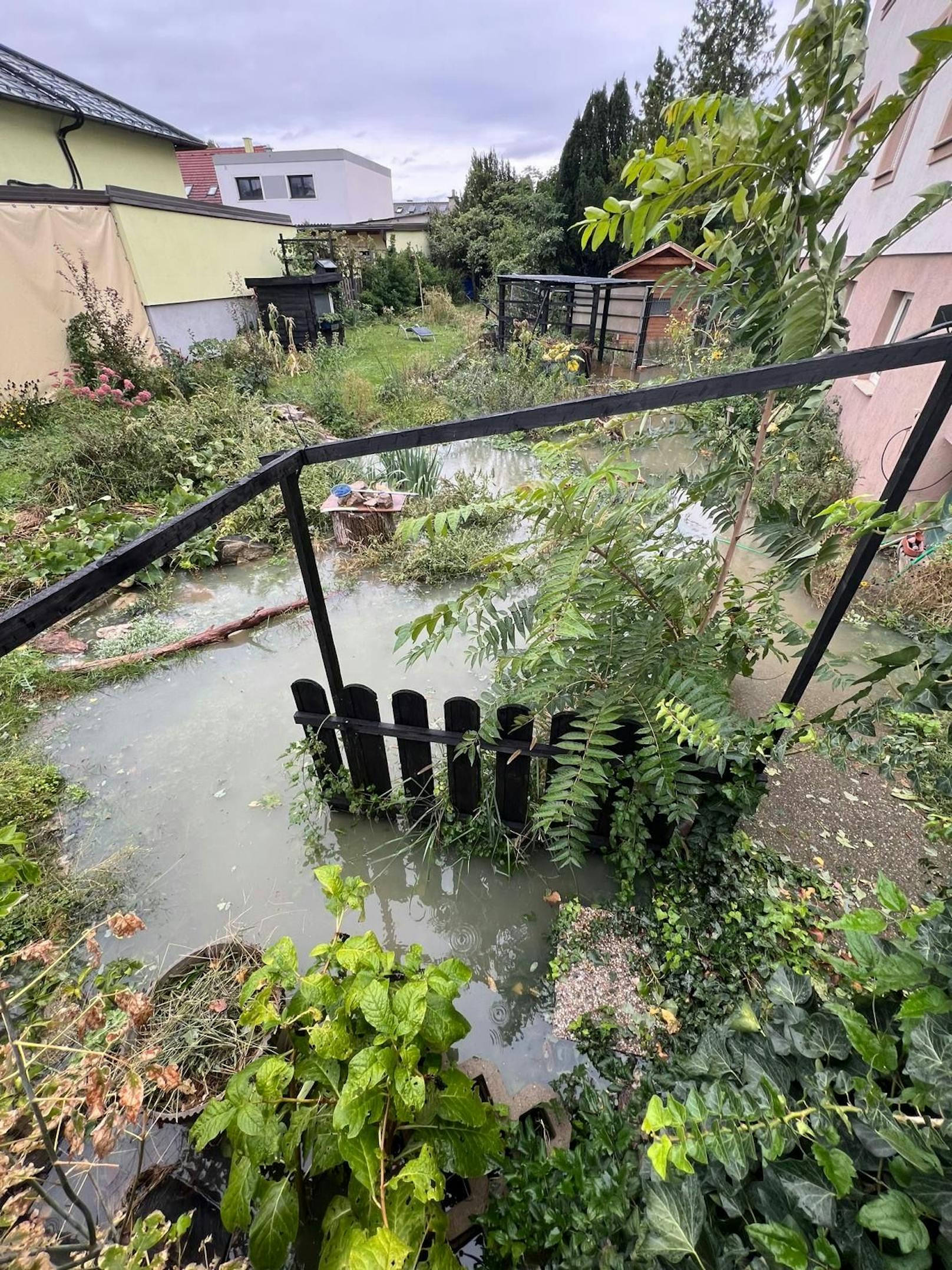 Gärten stehen in Schwechat unter Wasser.