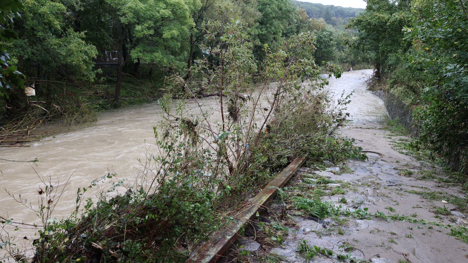 Schuld am Hochwasser war der über die Ufer getretene Wienfluss.