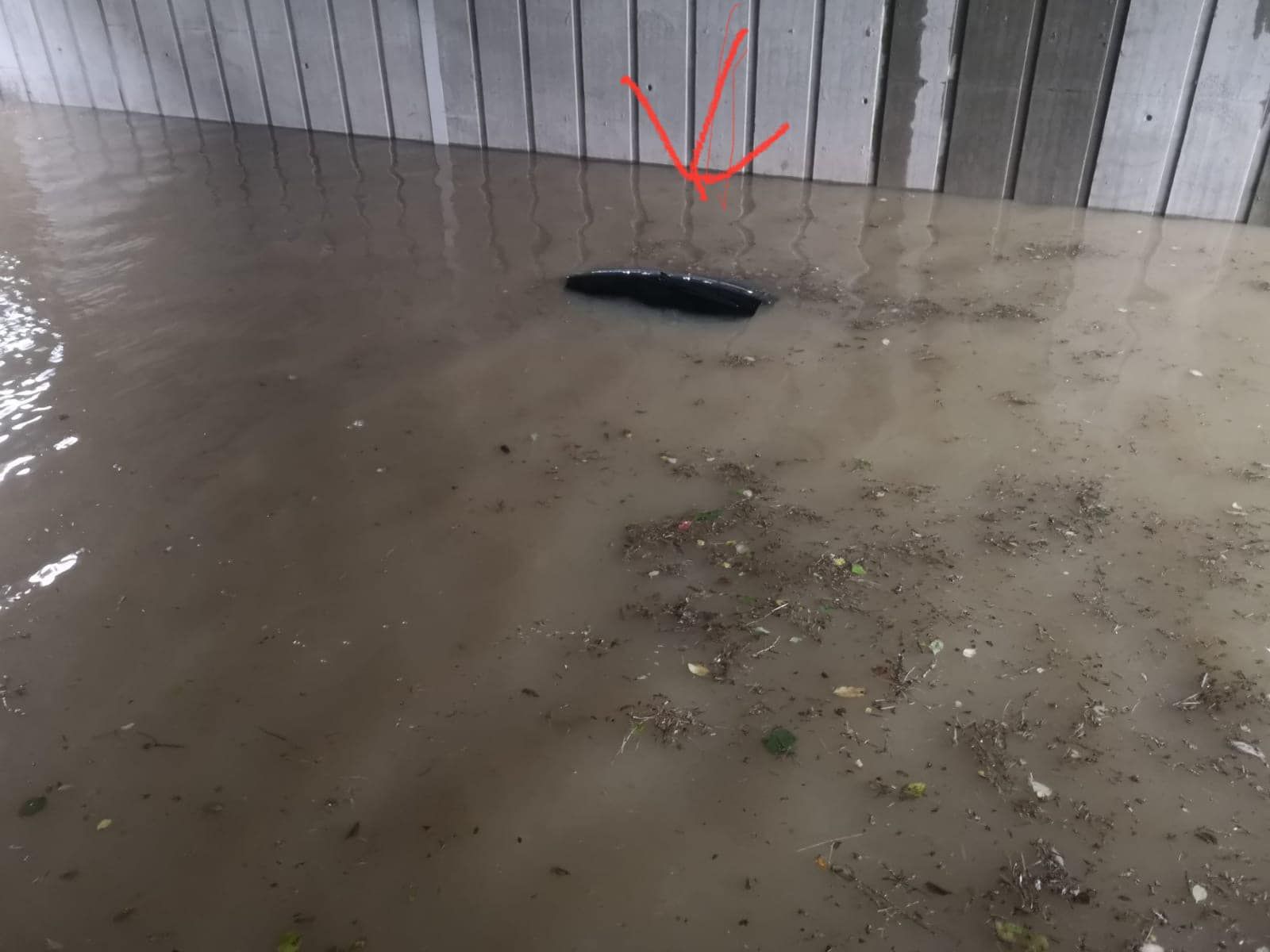 Das Auto in der Unterführung war komplett unter Wasser, die Lenkerin konnte sich noch über den Kofferraumdeckel retten.