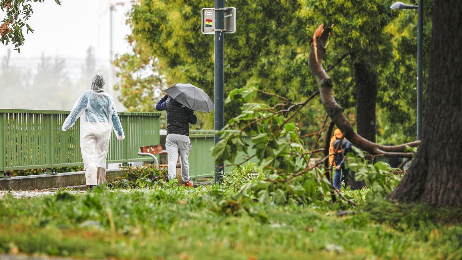 Überflutungen, Muren, umgestürzte Bäume: Unwetter sorgte für zahlreiche Einsätze.