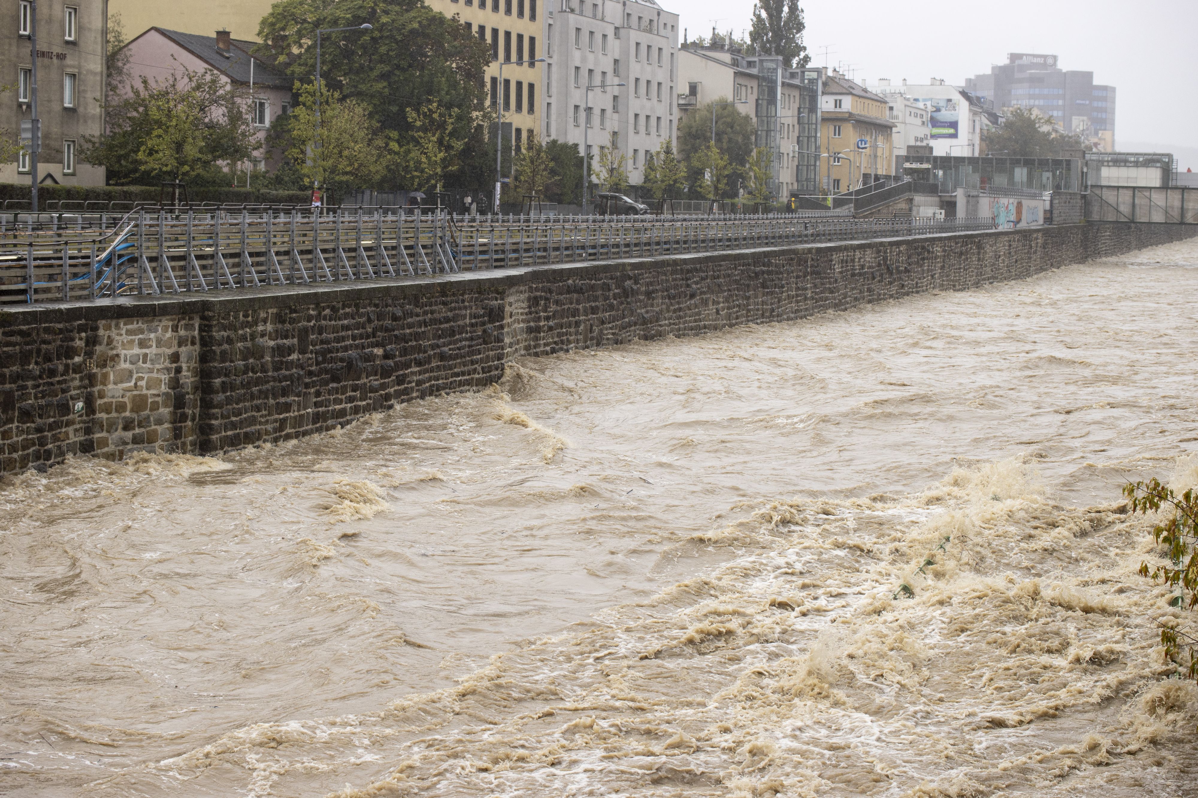 Durch die heftigen Unwetter wurden in Wien zahlreich Kürbisse angespült. (Symbolbild)