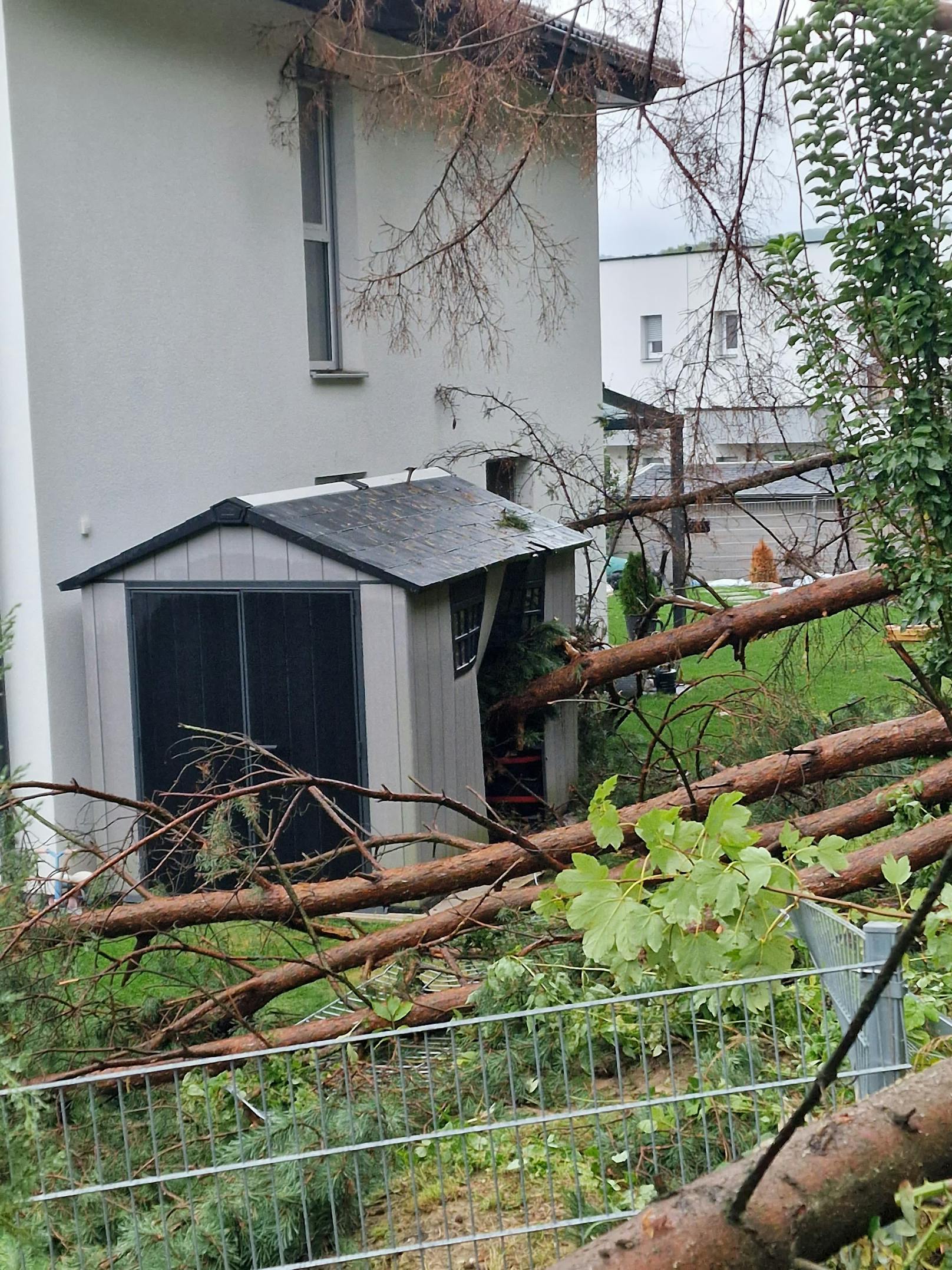 Ein heftiger Sturm führte am Sonntagabend in Sieghartskirchen zu einer massiven Wassermasse, die vom Wald auf das Haus der betroffenen Familie stürzte.