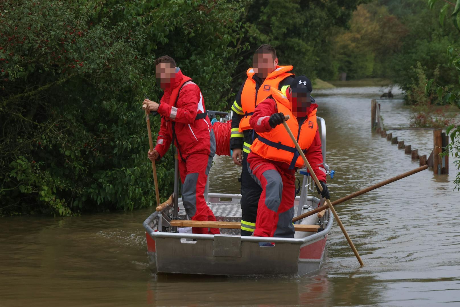 Kurioser Fund im Hochwasser in Wels: Bündelweise fischte die Feuerwehr falsche Geldscheine aus den Fluten.