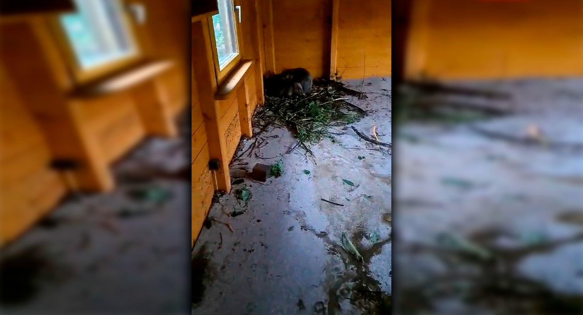 Die Tiere sind zusammengekauert in der Ecke gesessen. 