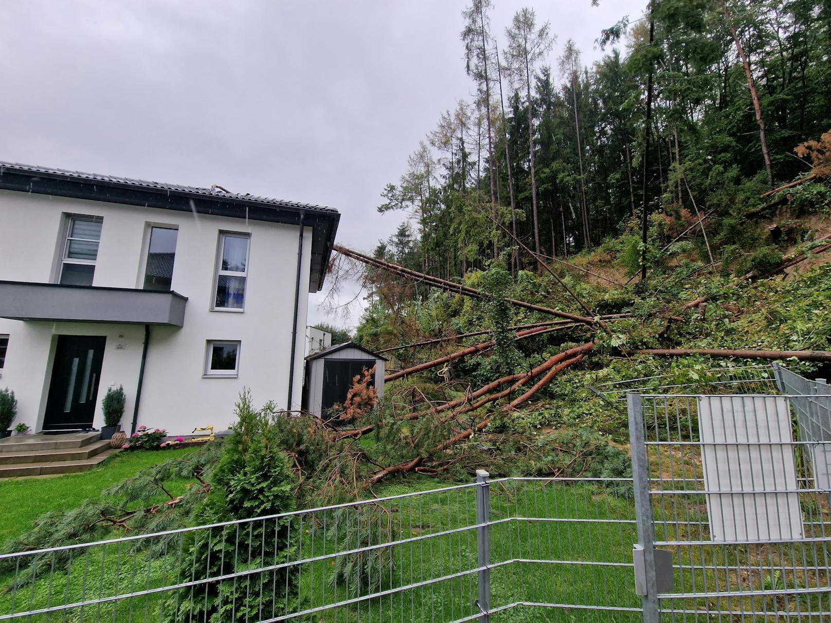 Ein heftiger Sturm führte am Sonntagabend in Sieghartskirchen zu einer massiven Wassermasse, die vom Wald auf das Haus der betroffenen Familie stürzte.