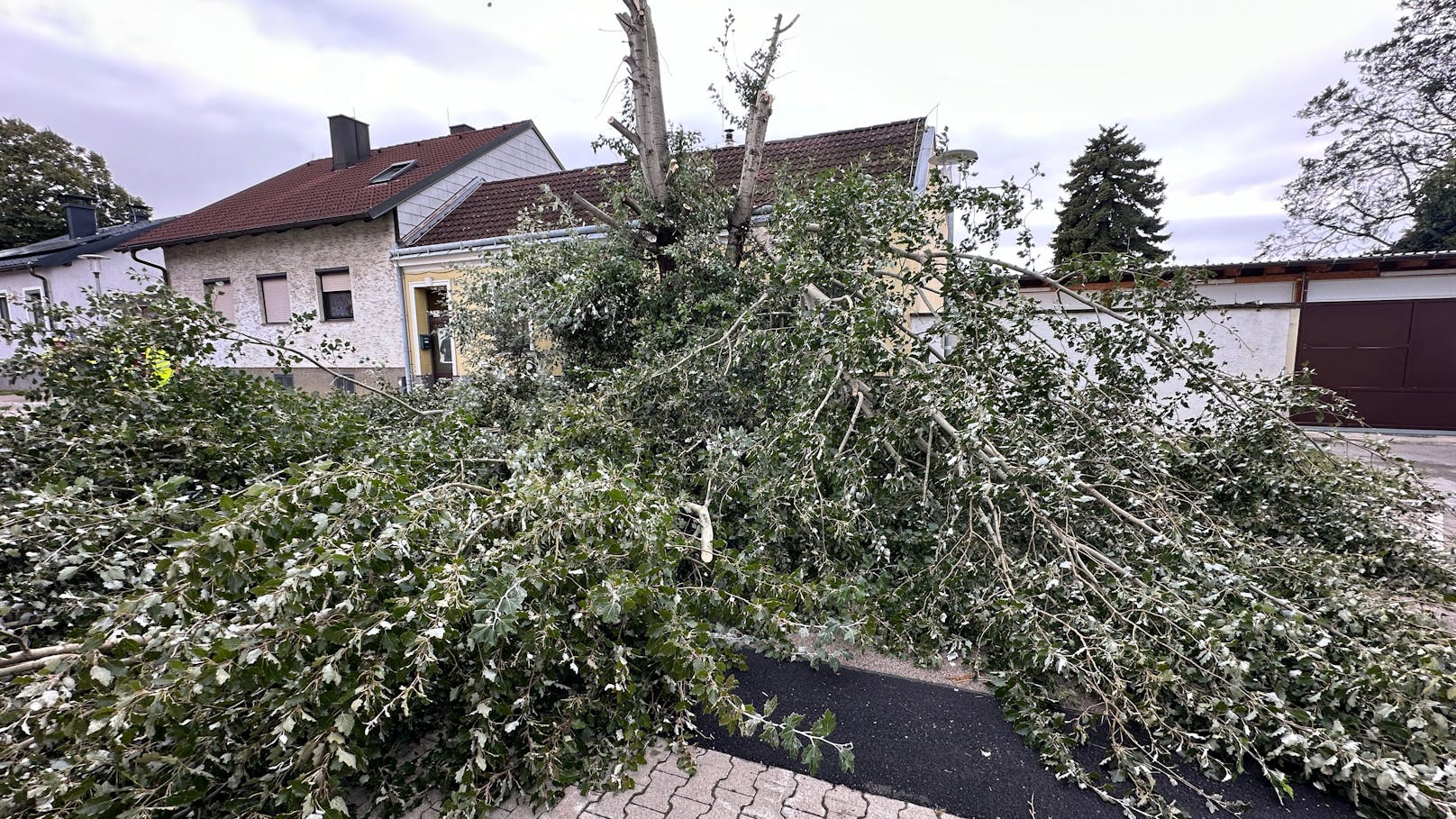 Seit Freitagnachmittag wurden durch die Kameraden der Freiwilligen Feuerwehr Schwechat rund 90 Einsätze bewältigt. Umstürzende Bäume, Keller unter Wasser, diverse Sturmschäden bis hin zu ausgelösten Brandmeldeanlagen.