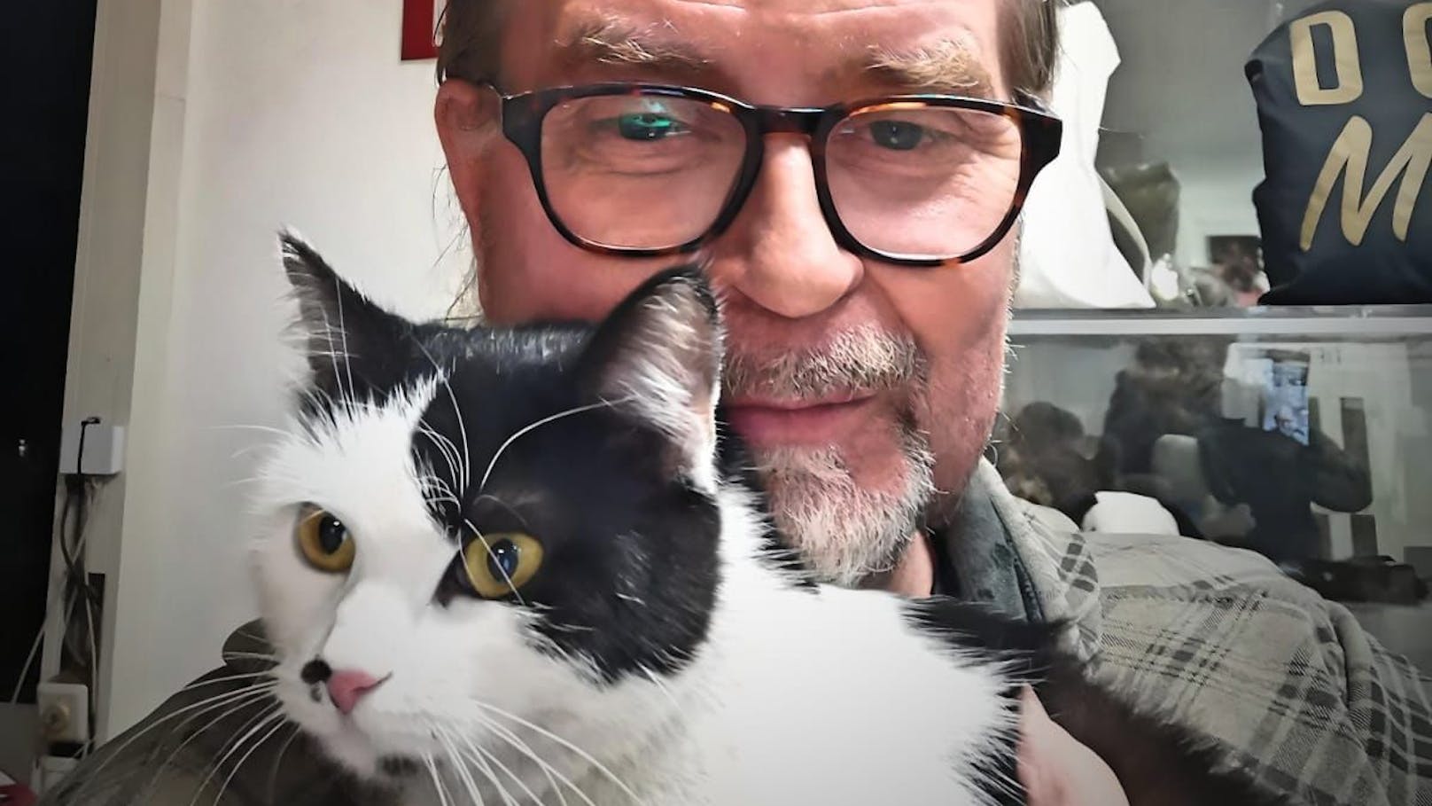 Katze büxt nach Einbruch aus– "Tatort"-Star als Retter