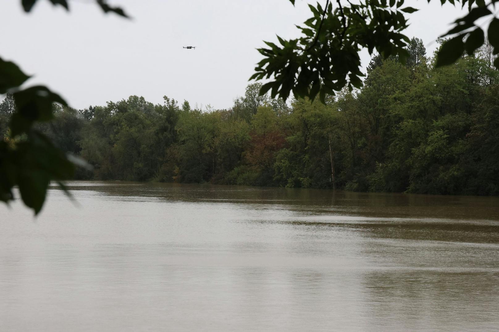 Kurioser Fund im Hochwasser in Wels: Bündelweise fischte die Feuerwehr falsche Geldscheine aus den Fluten.