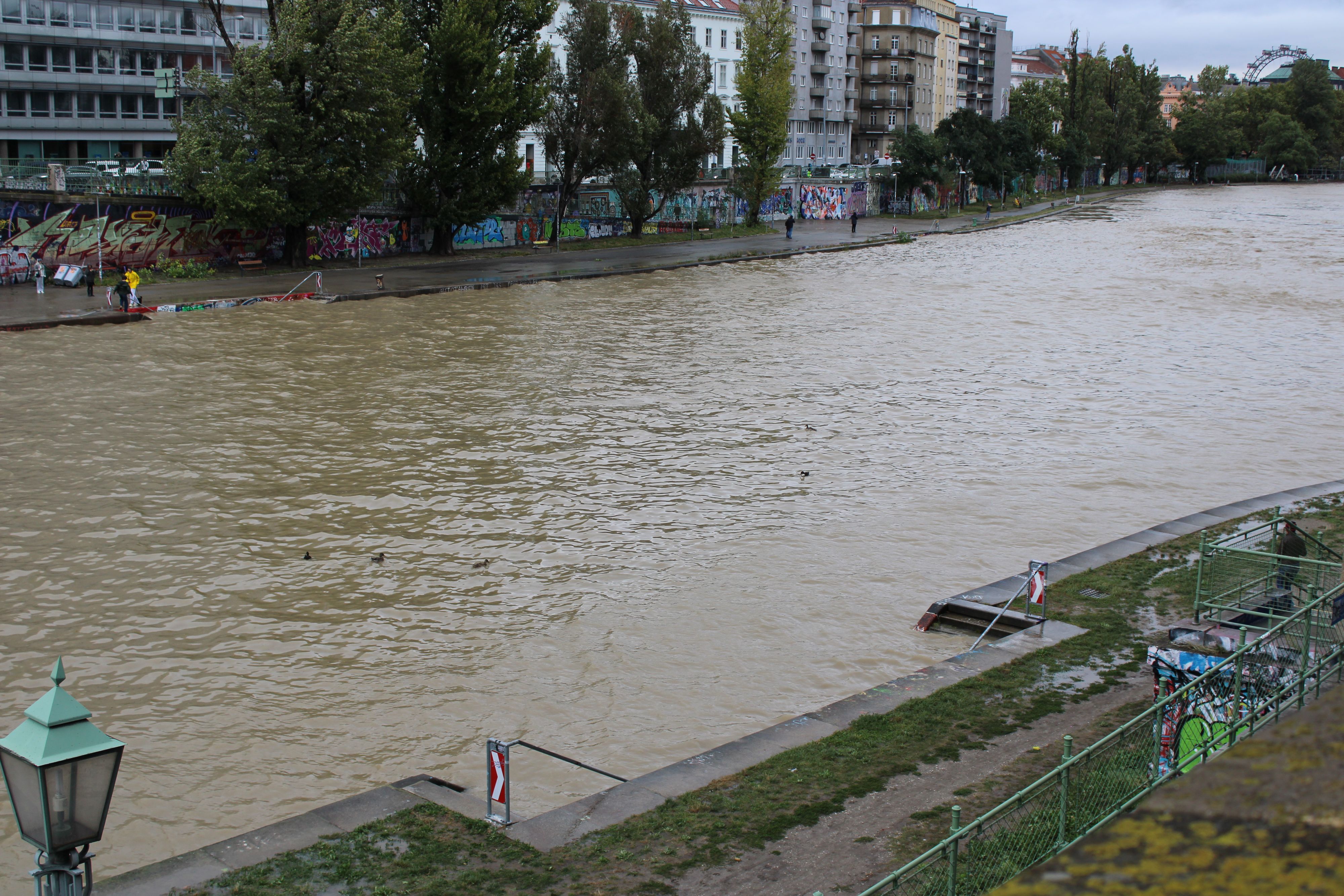 Der Pegelstand der Donau ist so hoch wie lange nicht mehr.