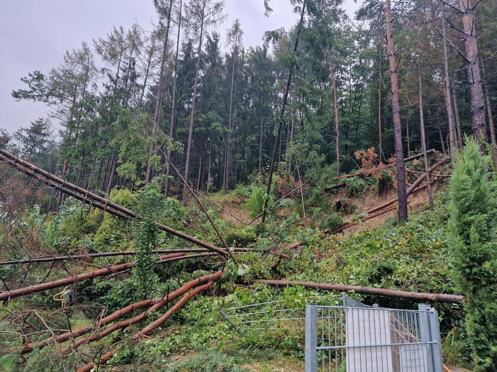 Ein heftiger Sturm führte am Sonntagabend in Sieghartskirchen zu einer massiven Wassermasse, die vom Wald auf das Haus der betroffenen Familie stürzte.