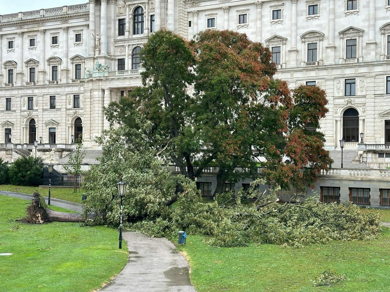 Durch den sintflutartigen Regen standen Teile der Hofburg unter Wasser – auch der Burggarten ist betroffen. 