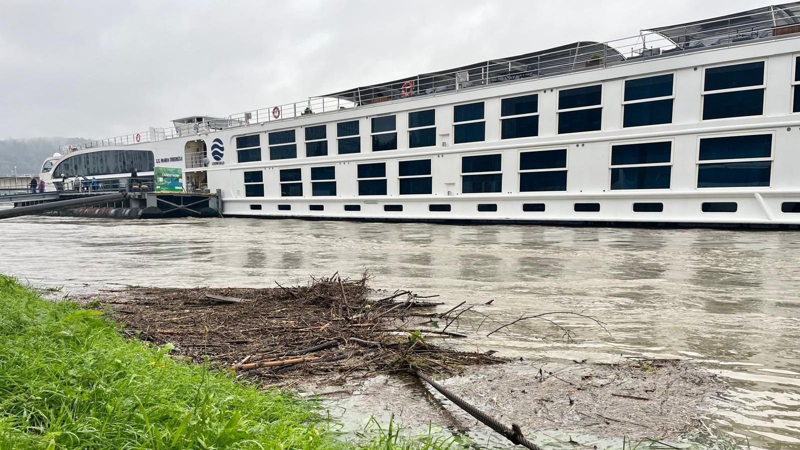 Das Hochwasser hat seine Spuren hinterlassen: Schwemmholz am Linzer Donau-Ufer.