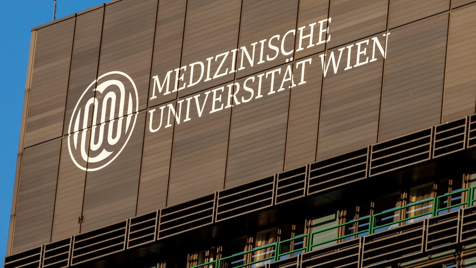 Die MedUni Wien erhielt den Auftrag, ein Nationales Referenzzentrum für postvirale Syndrome einzurichten