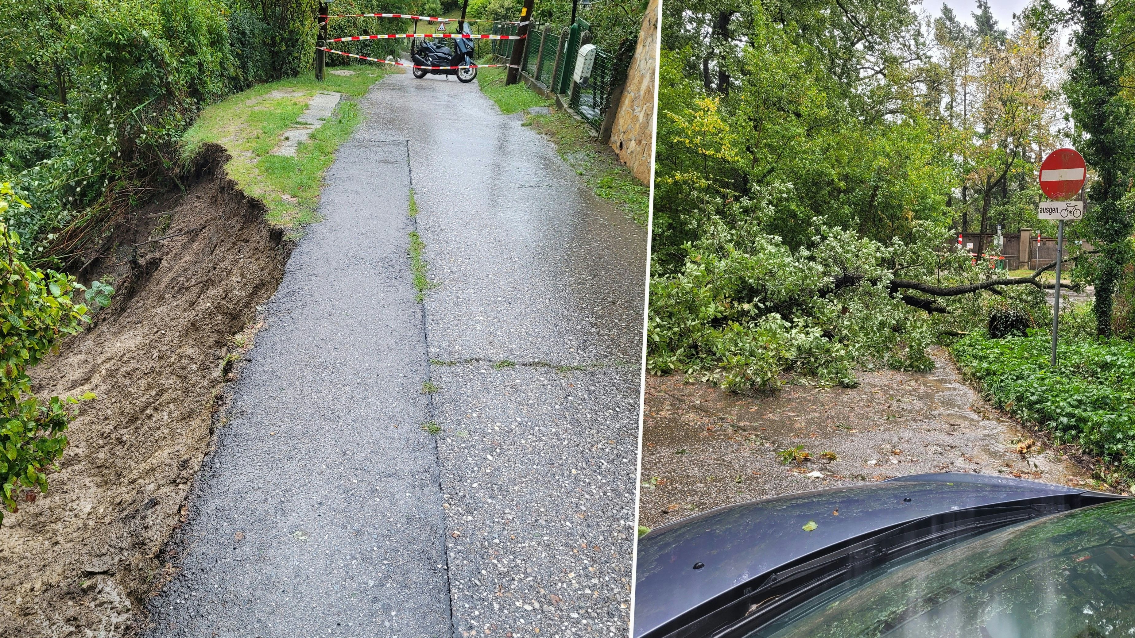 Heute.at - Hangrutsch in Wien – Siedlung von Straße abgeschnitten
