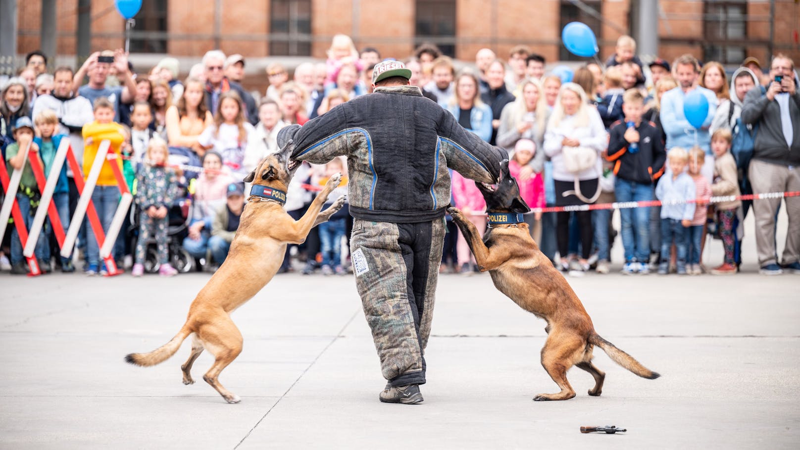 Tanzen im Blaulicht – Wiener Polizei lädt zum Fest