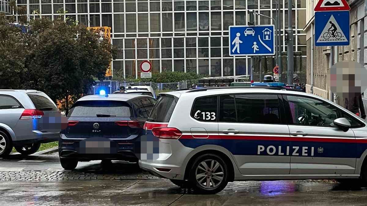 Heute.at - Verfolgungsjagd in Wien: BMW-Lenker verletzt Polizisten