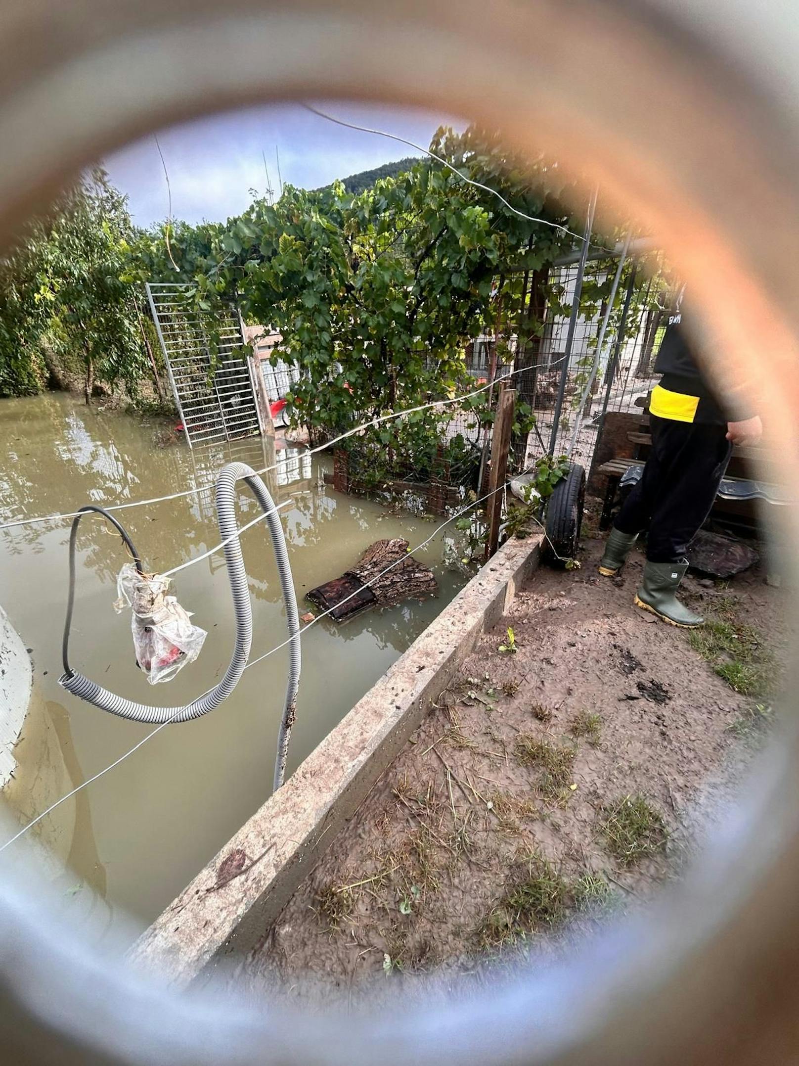 Die Flut traf eine fünfköpfige Familie in Rotheau hart.