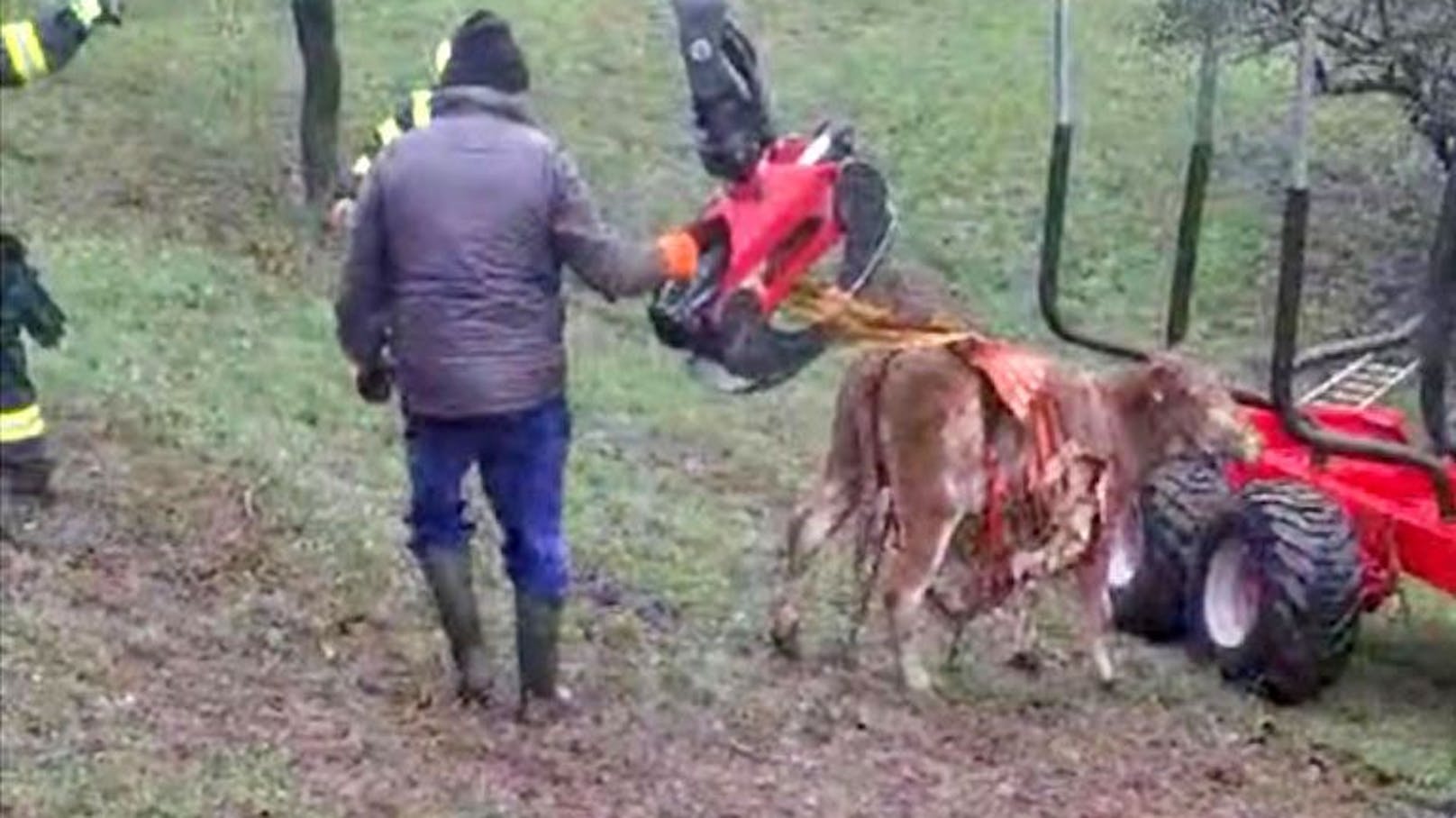 Erfolgreiche Tierrettung in Nöstach-Hafnerberg in der Gemeinde Altenmarkt a. d. Triesting