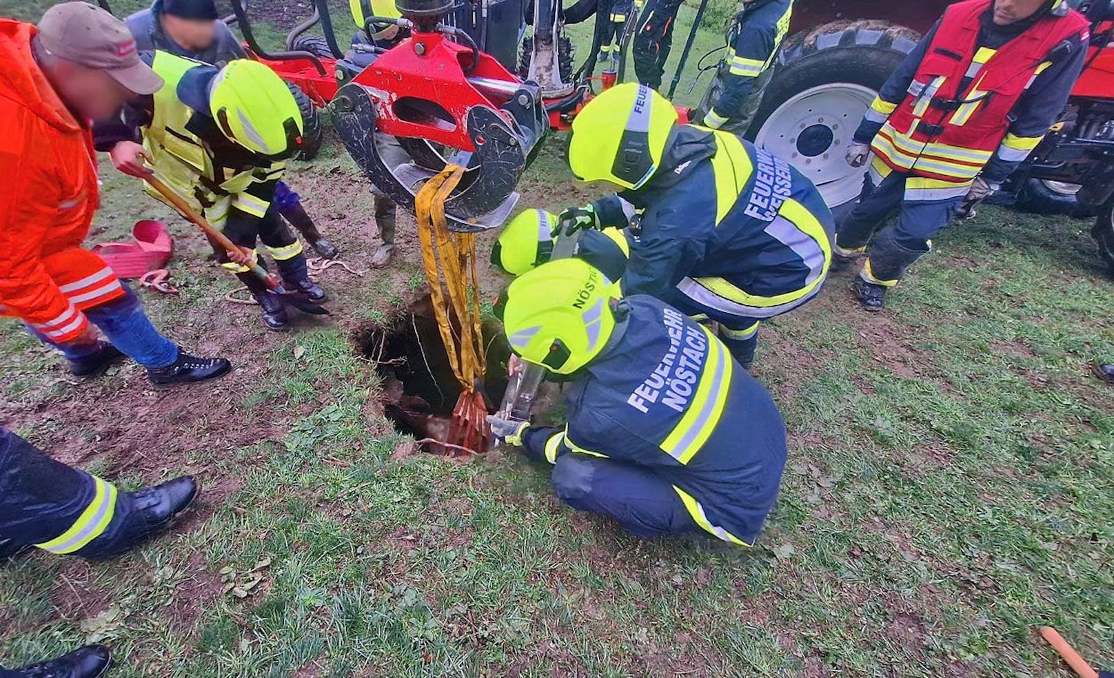 Erfolgreiche Tierrettung in Nöstach-Hafnerberg