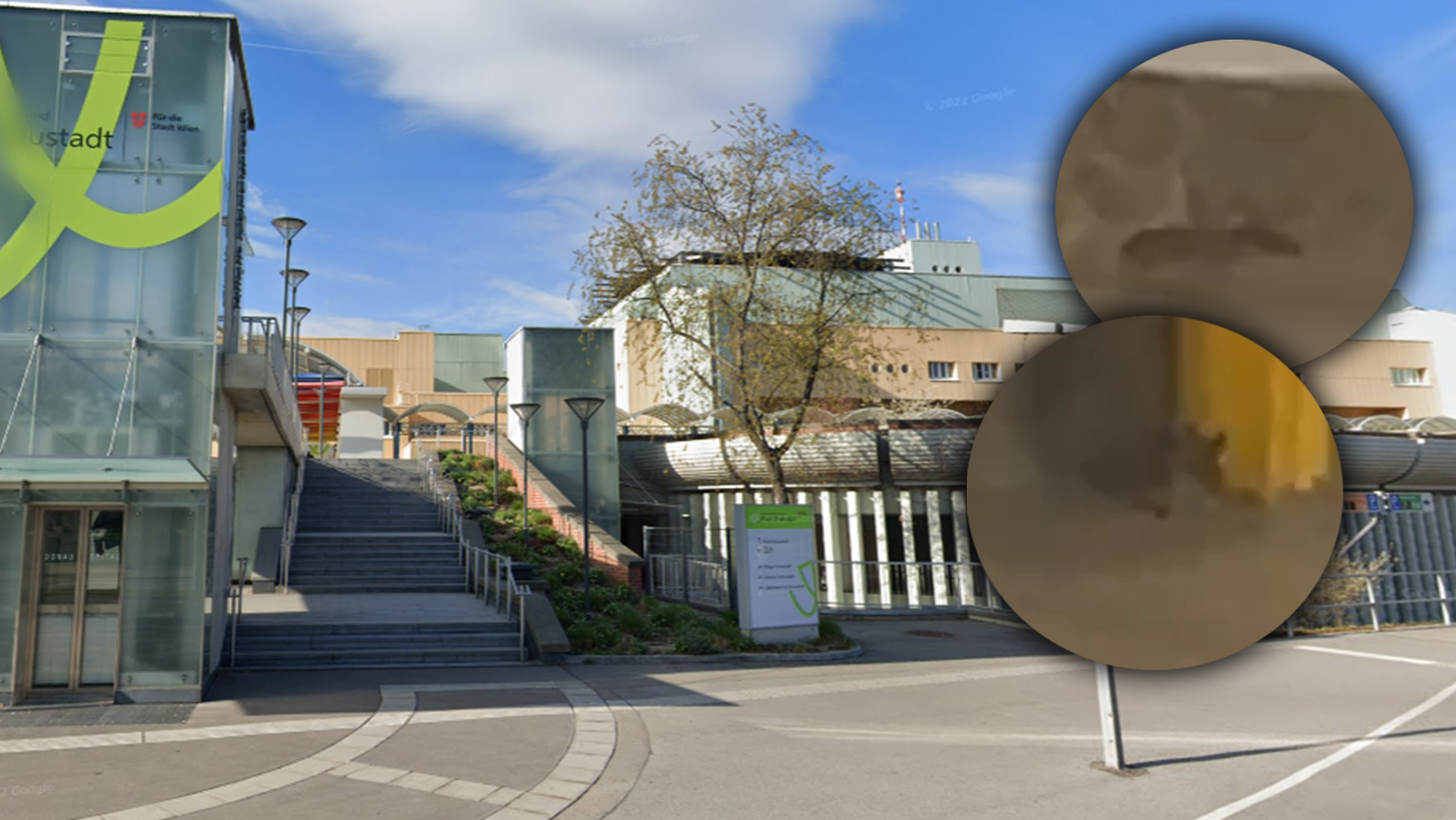 Mit diesem kleinen Gast hat wohl niemand im Krankenhaus gerechnet. Eine 