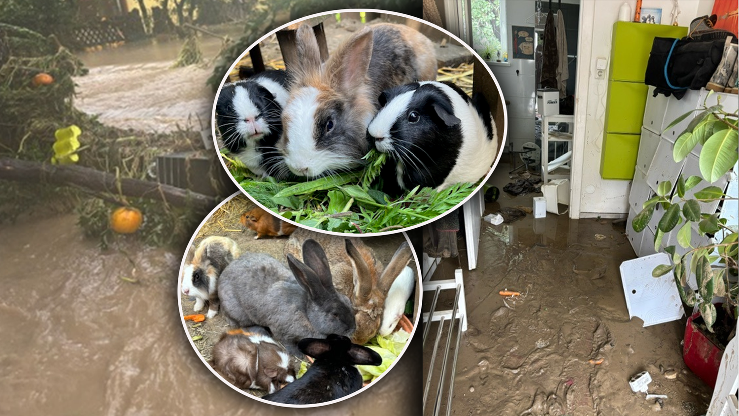 Die Folgen des Unwetters sind enorm. Das Haus einer Familie wurde überschwemmt, Hasen und Meerschweinchen sind ertrunken.