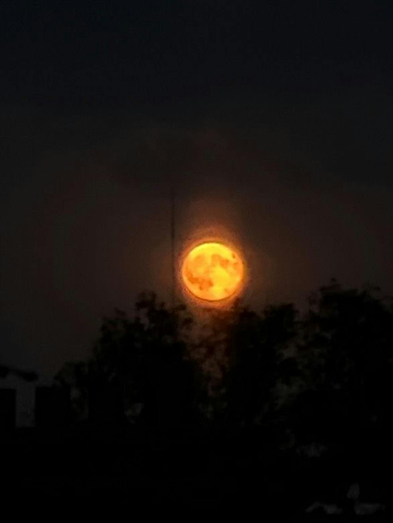 Einzigartig schön - Der Supermond erfreute ganz Wien