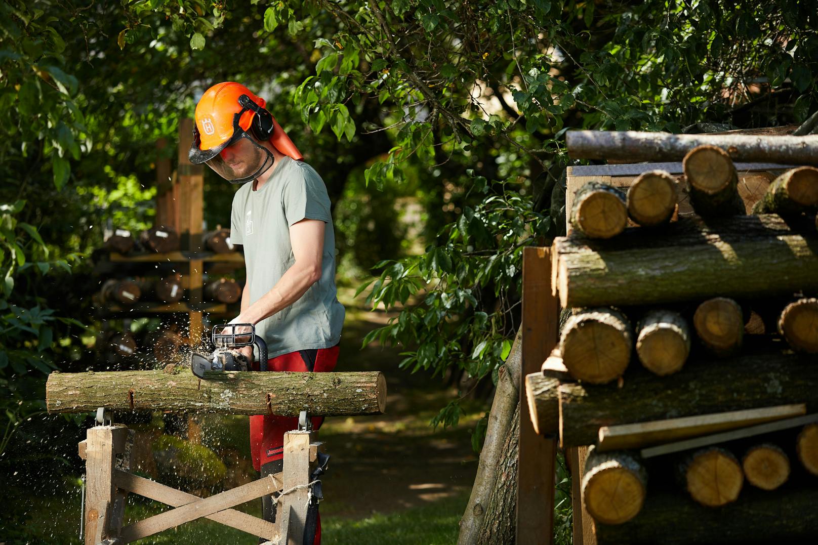 Im Waldviertler Pilzgarten werden Speisepilze und leuchtende Raritäten gezüchtet.