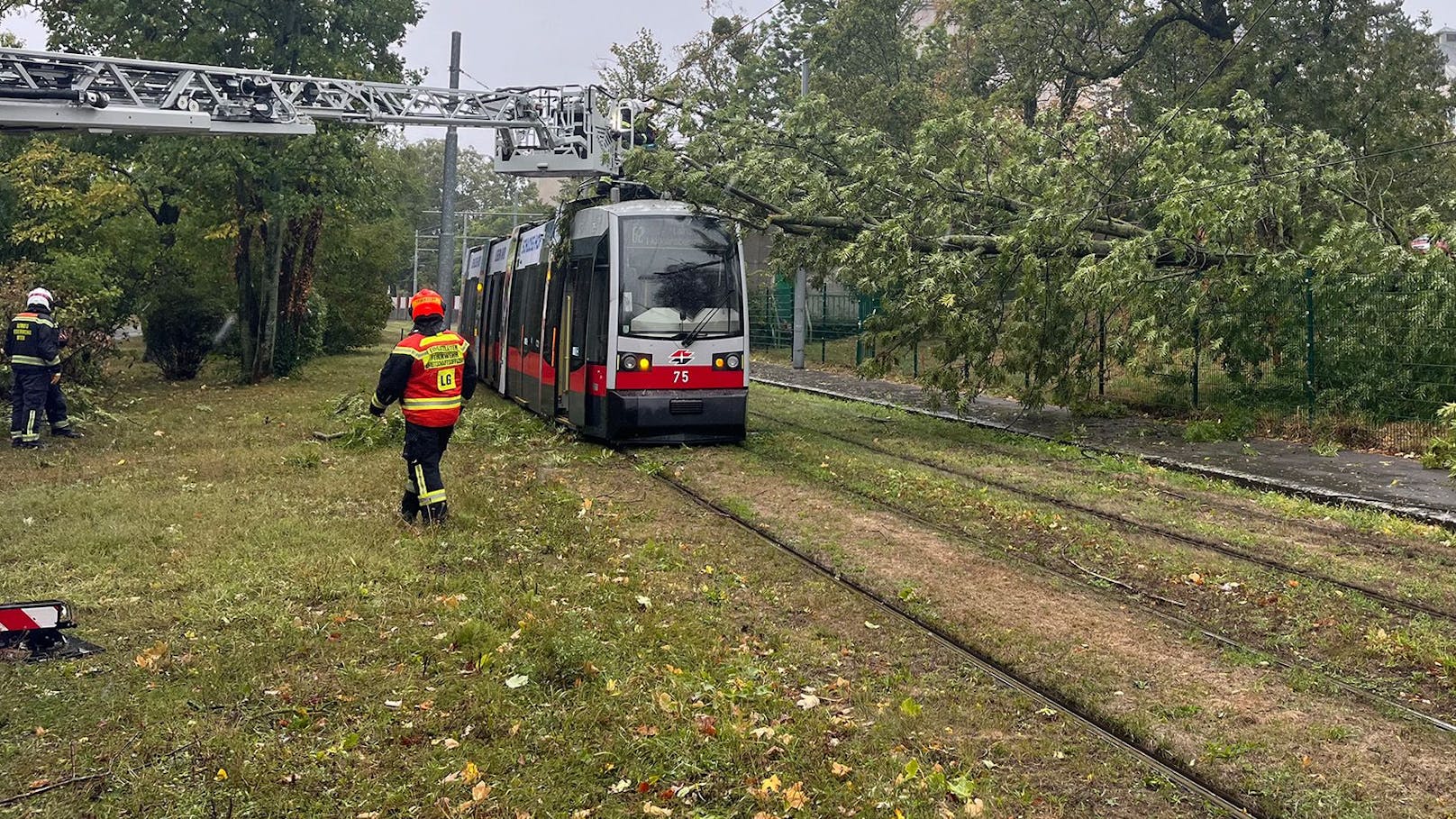 Hie fiel ein Baum in die Oberleitung.