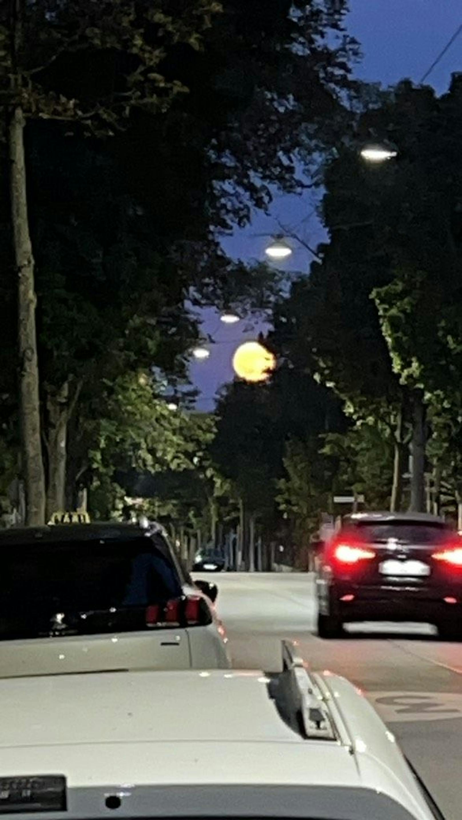 Einzigartig schön - Der Supermond erfreute ganz Wien