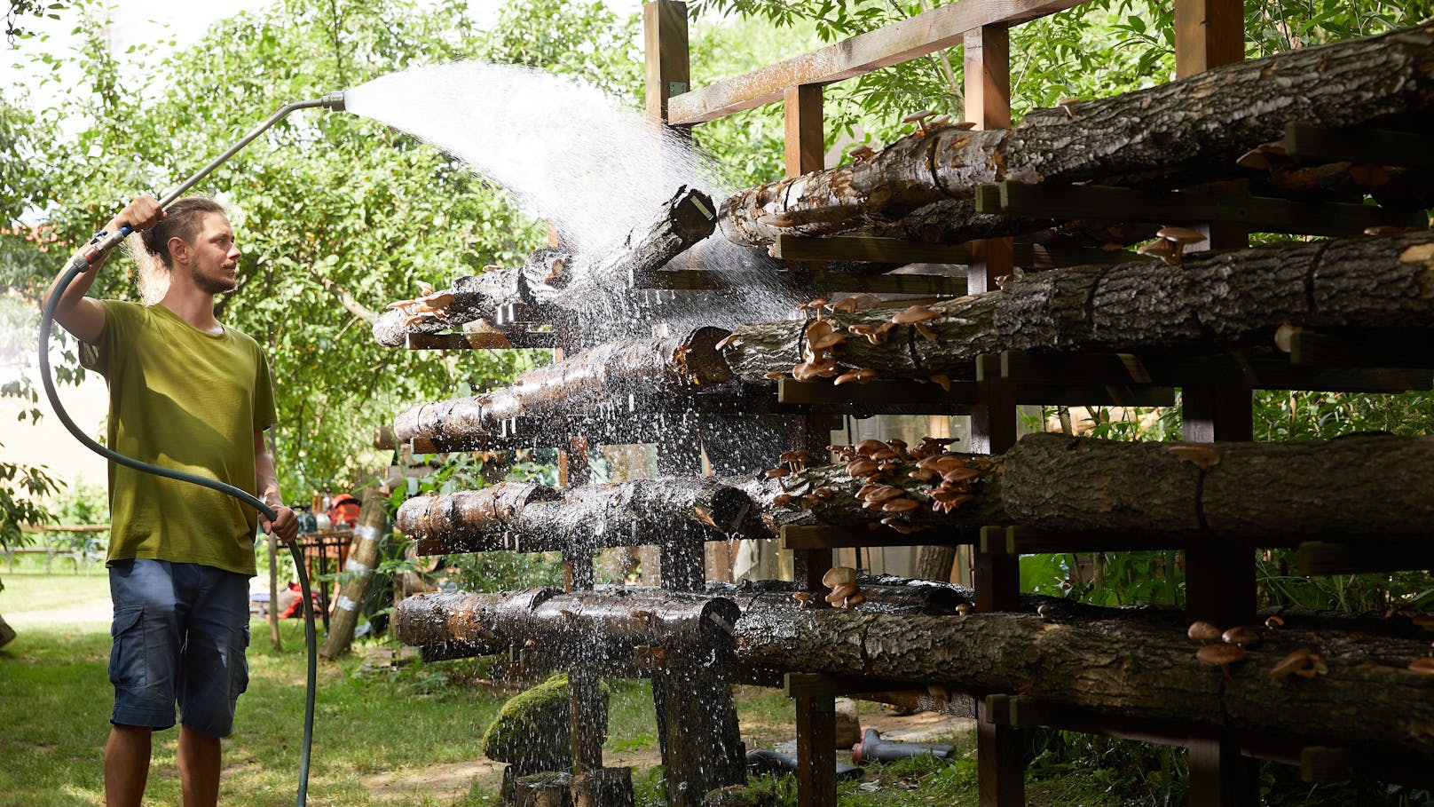 Waldviertler Pilzgarten lädt zum Erntedankfest