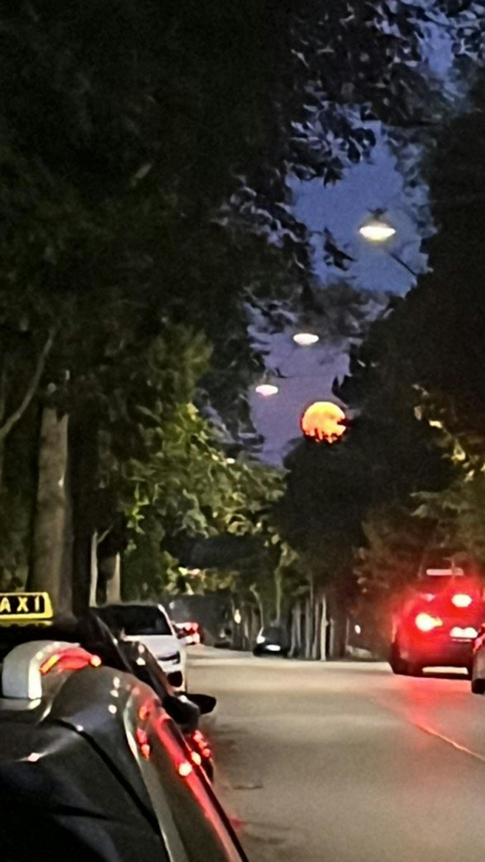 Einzigartig schön - Der Supermond erfreute ganz Wien