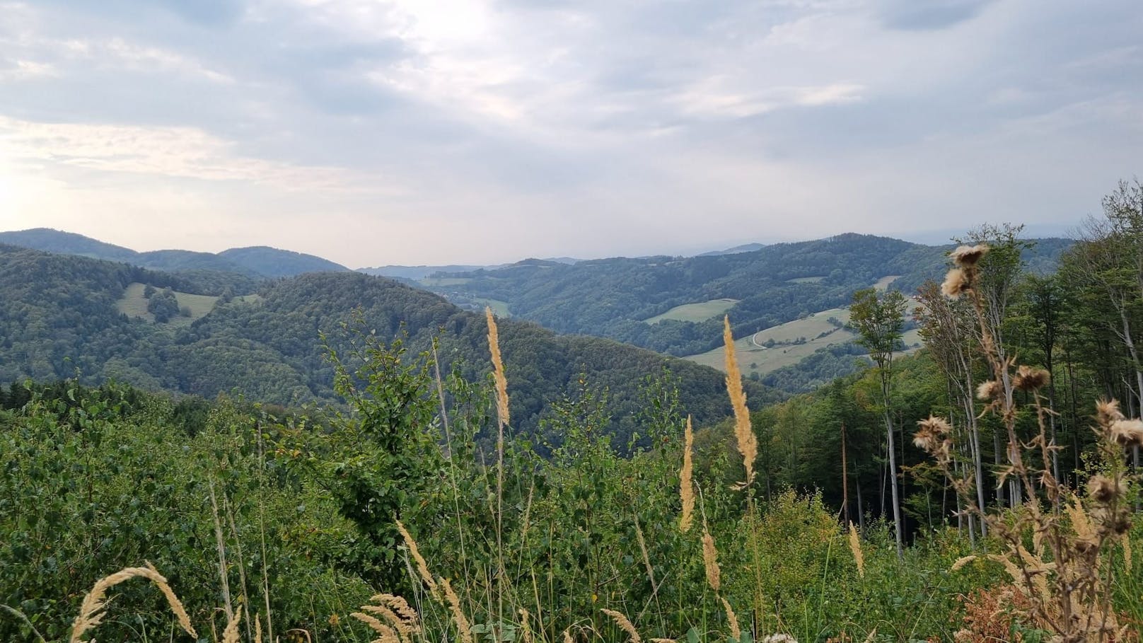 Auch der Ausblick im Offroad-Park Hellsklamm konnte sich sehen lassen.