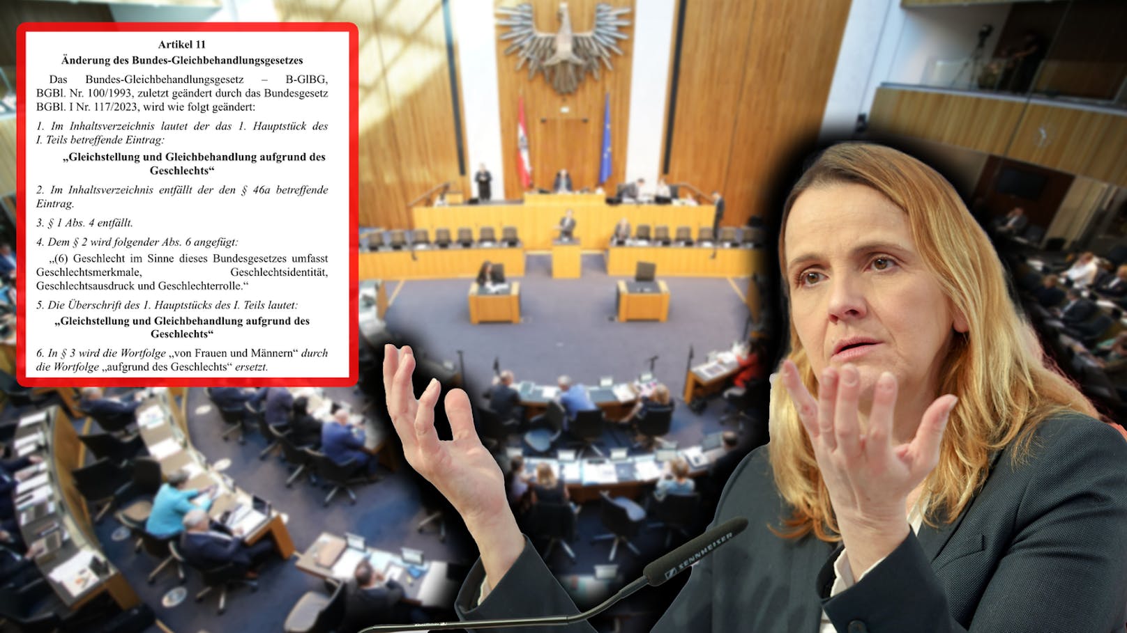 Mann/Frau gestrichen: "Österreich wird zu Irrenhaus"