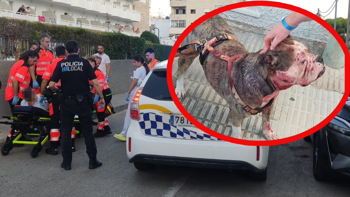 Die Einsatzkräfte fanden den Hund mit blutigem Fell vor.