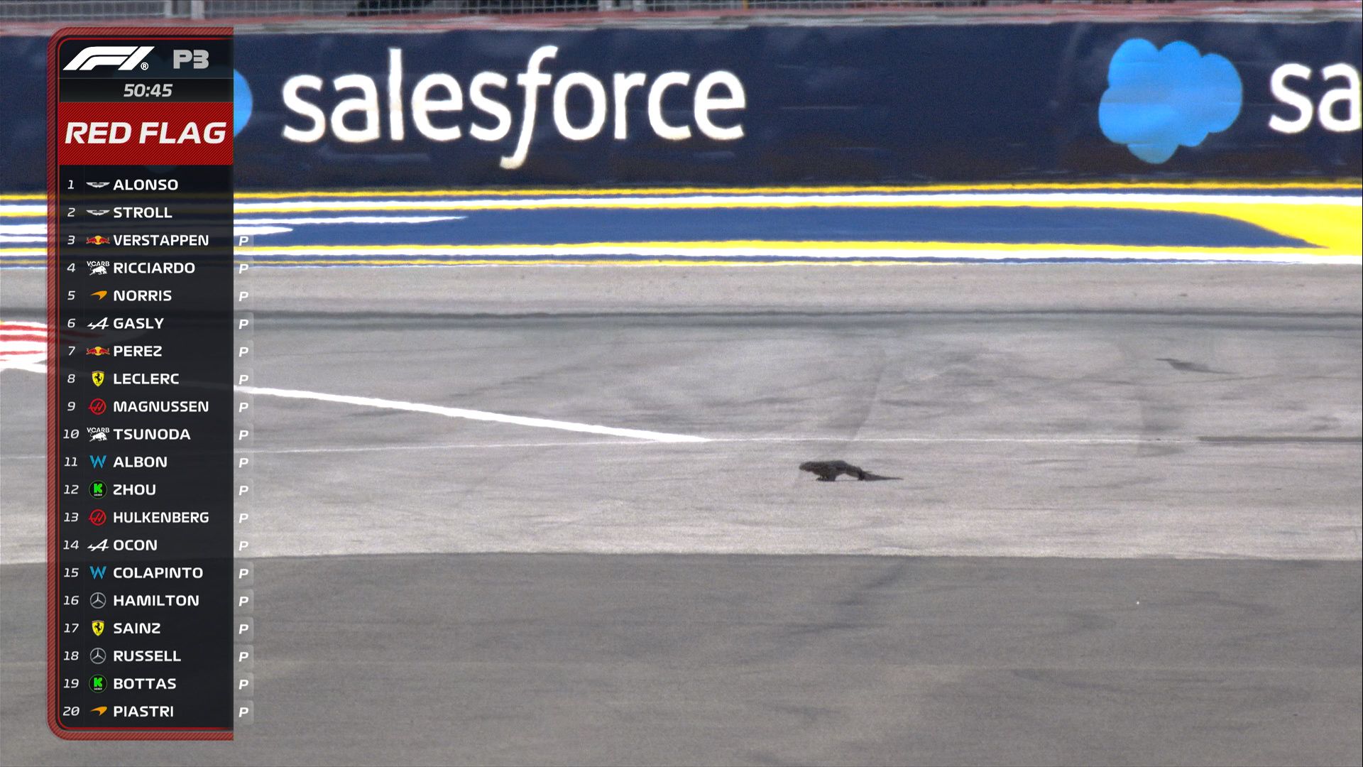 Ein Waran läuft über die Formel-1-Strecke in Singapur. 
