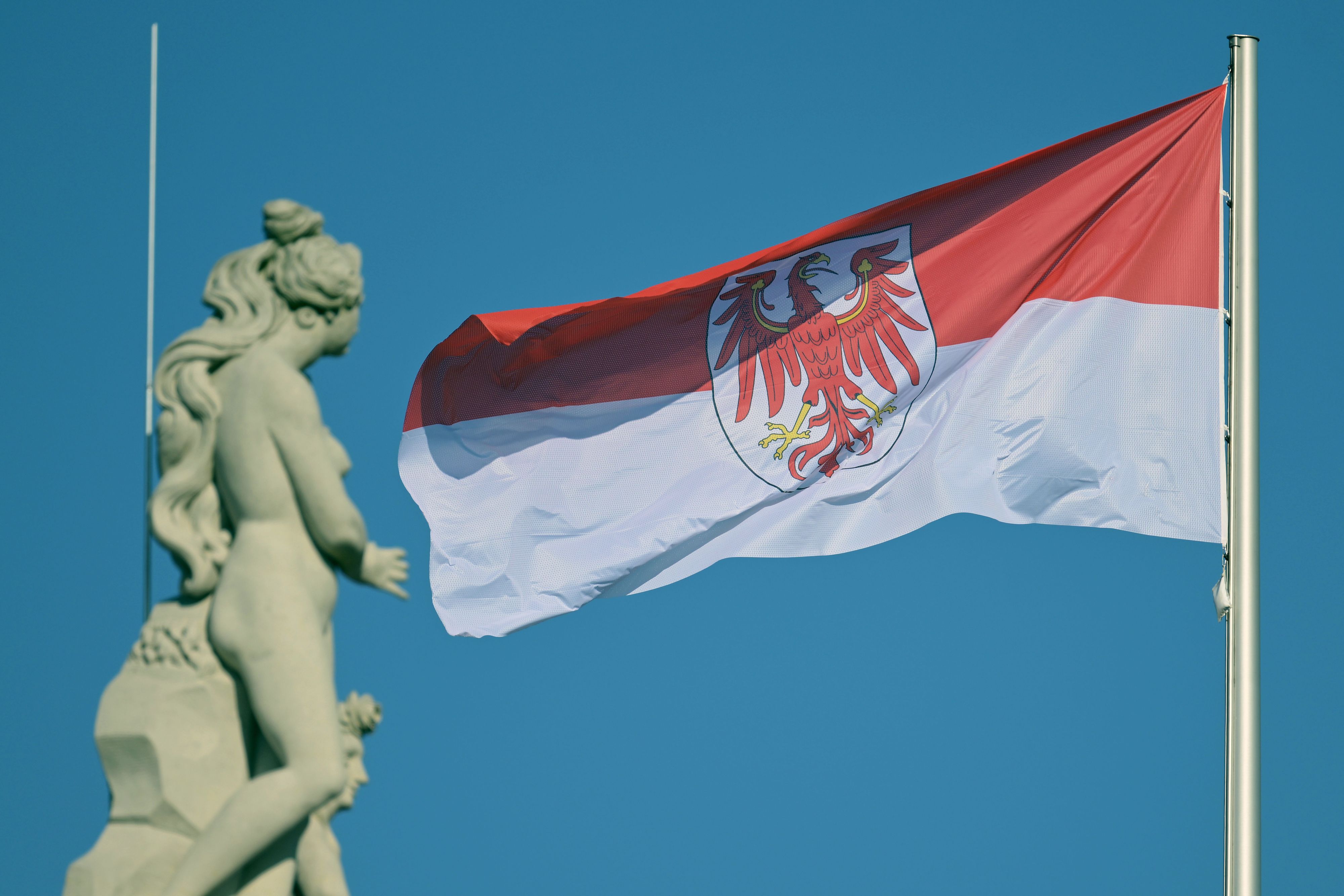 Bei der Landtagswahl in Brandenburg zeichnet sich ein Kopf-an-Kopf-Rennen zwischen SPD und AfD ab.