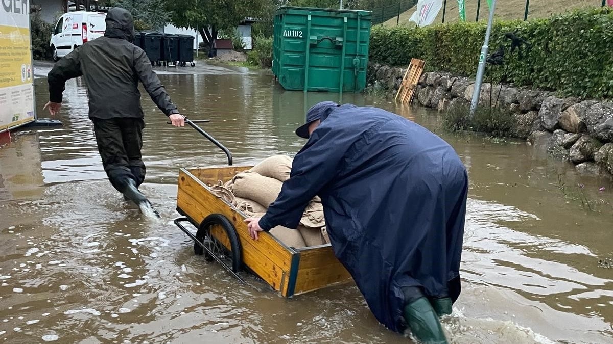Eine plötzliche Flutwelle ließ das Tierheim St. Pölten in kürzester Zeit im Wasser versinken