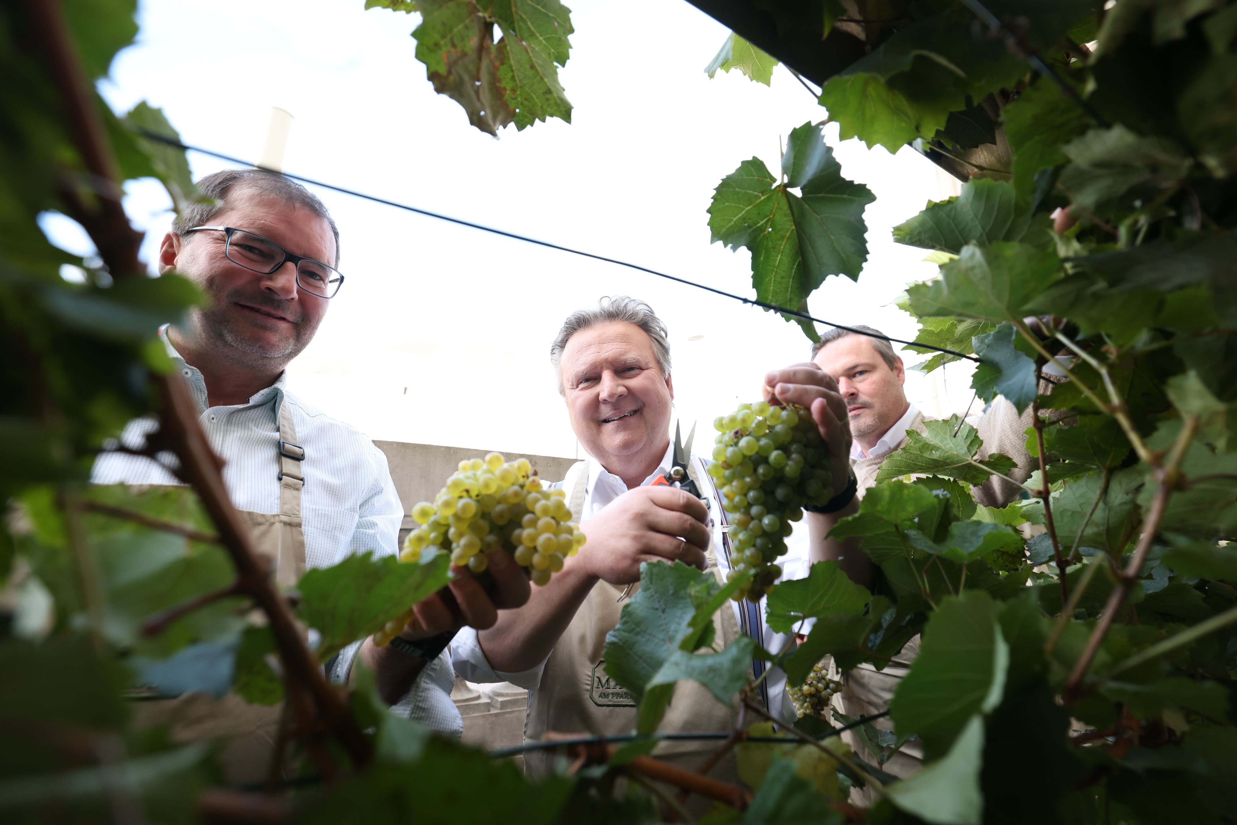 Norbert Walter und Bürgermeister Michael Ludwig (SP) am Schwarzenbergplatz.