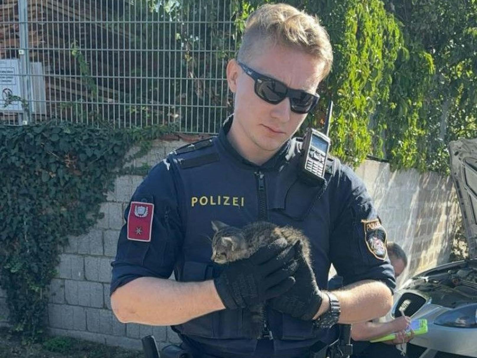 Zu einer Tierrettung mussten Sonntagvormittag Polizei und Feuerwehr in Wr. Neustadt ausrücken.