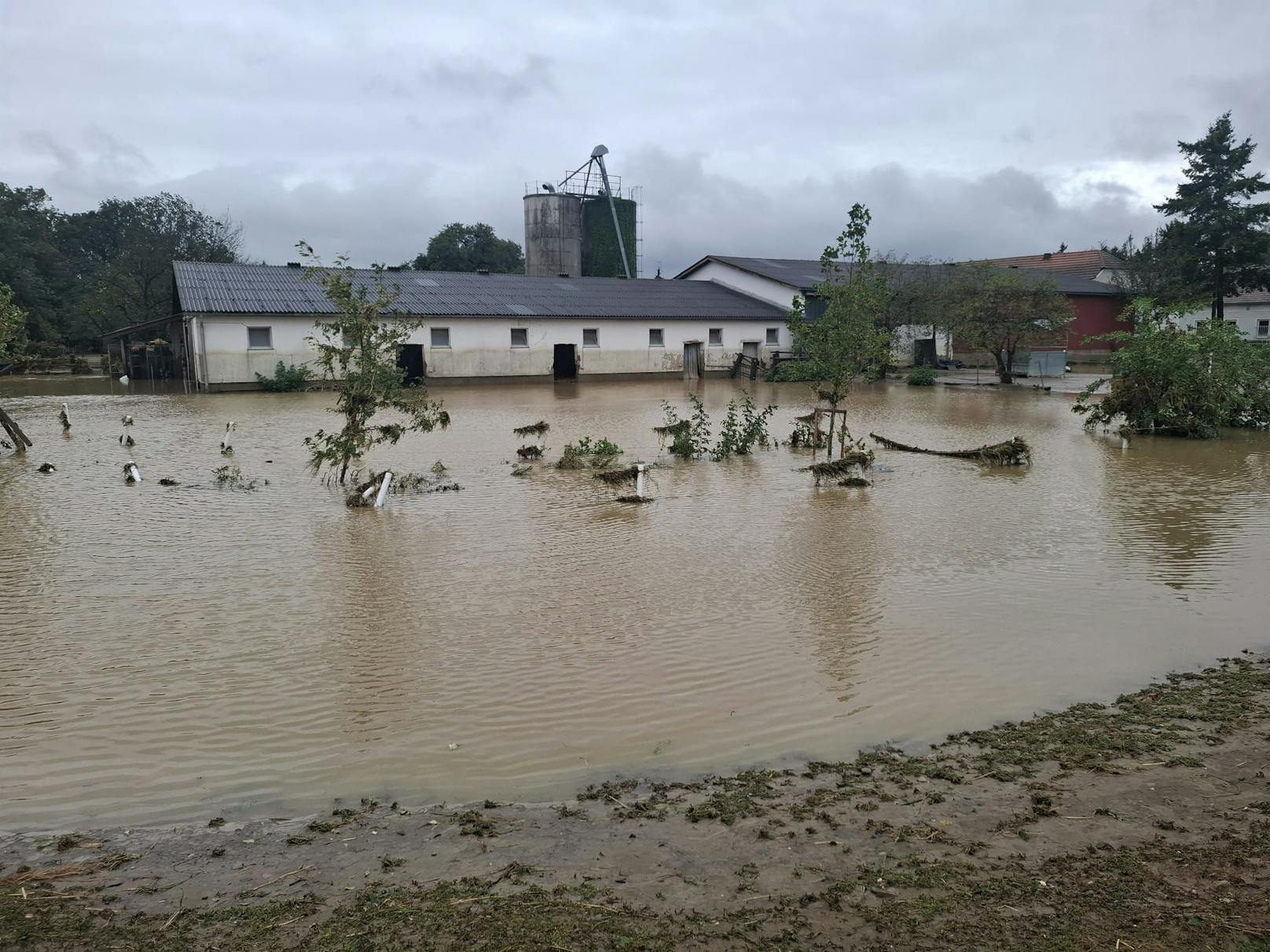 Das ganze Areal wurde geflutet, Zäune wurden weggerissen, Stallungen standen unter Wasser, die Küche in einem der Wohneinheiten wurde zerstört. Die ganzen Böden in den Wohnblöcken sind aufgeweicht.