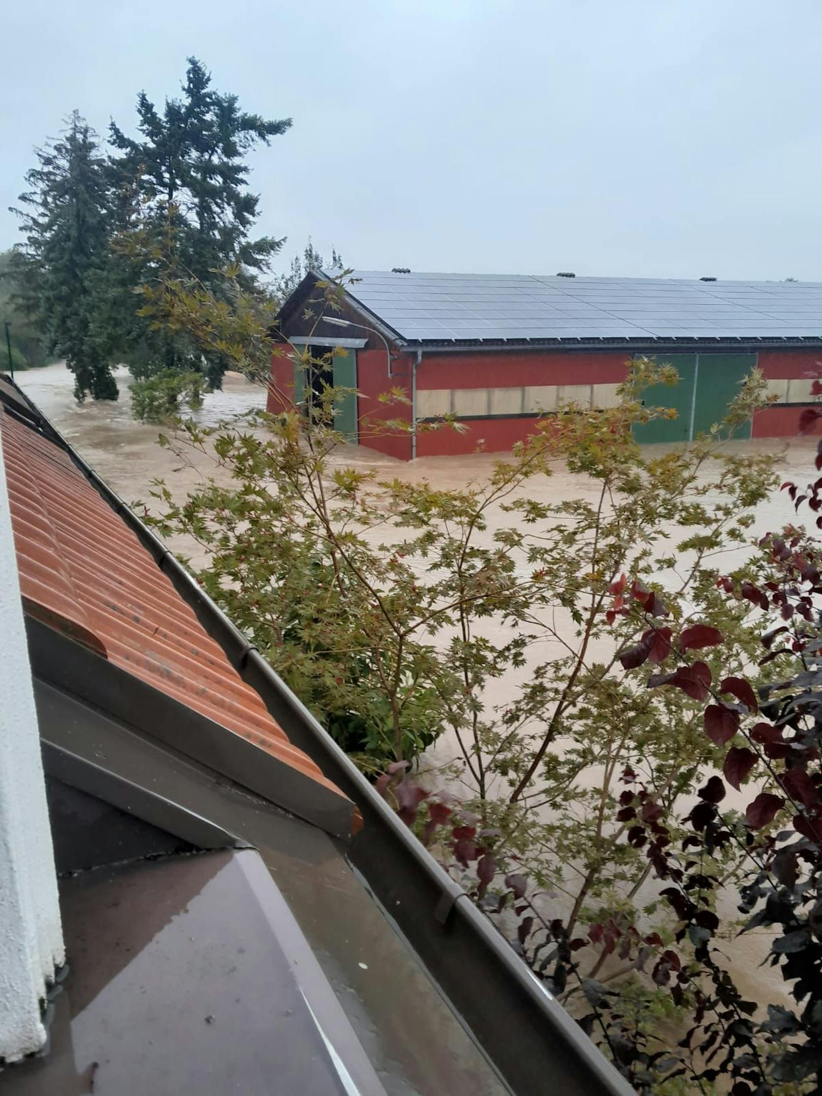 Der Pferdehof in NÖ wurde schwer vom Hochwasser getroffen.