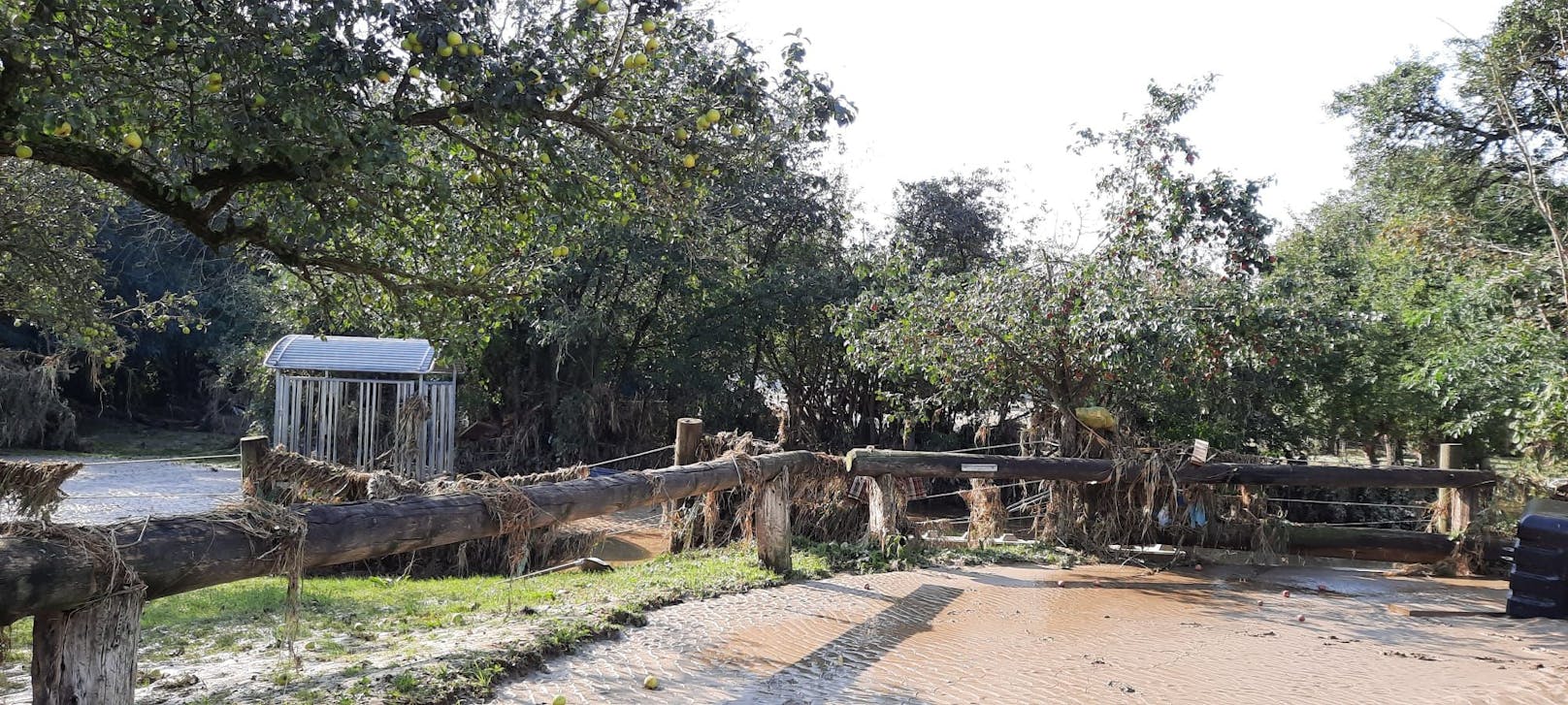 Der Pferdehof in NÖ wurde schwer vom Hochwasser getroffen.