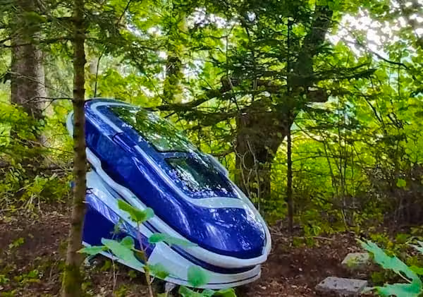 Die Todeskapsel Sarco ist erstmals zum Einsatz gekommen – mitten im Wald.