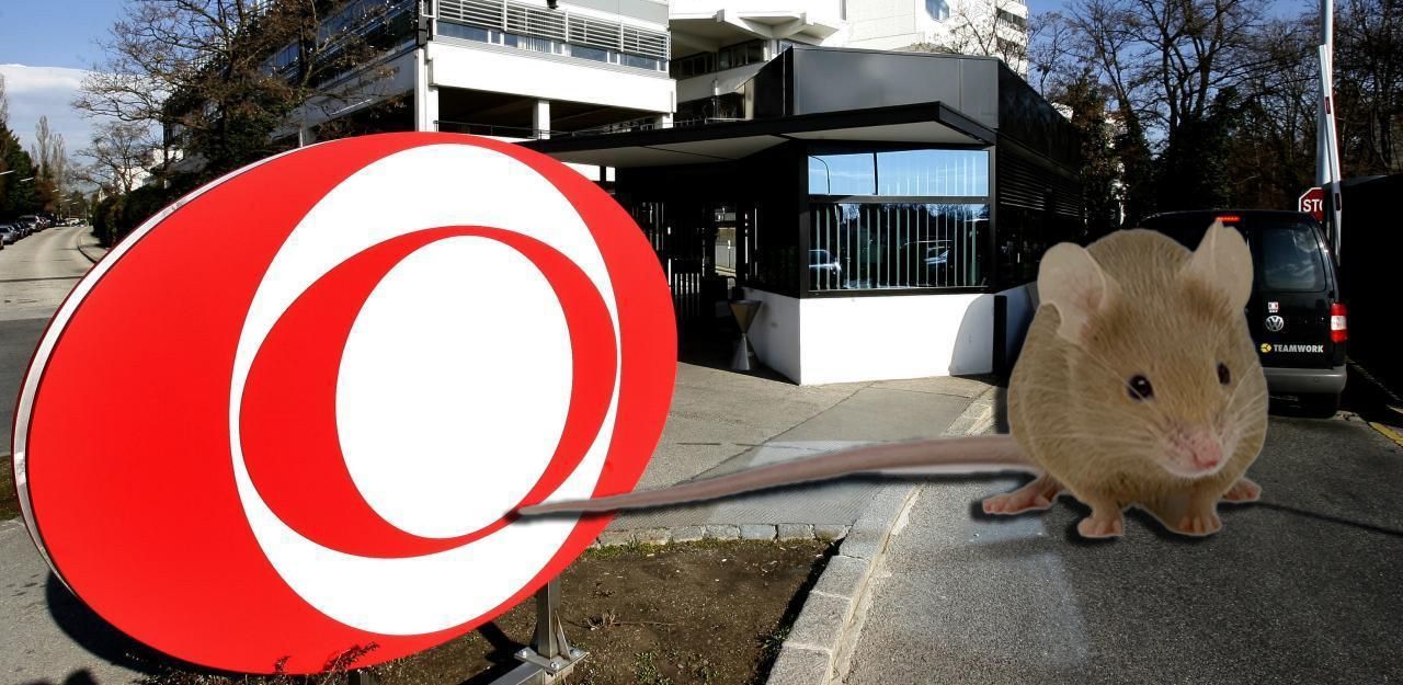 Die Küche im ORF-Zentrum kämpft aktuell gegen Schädlingsbefall.