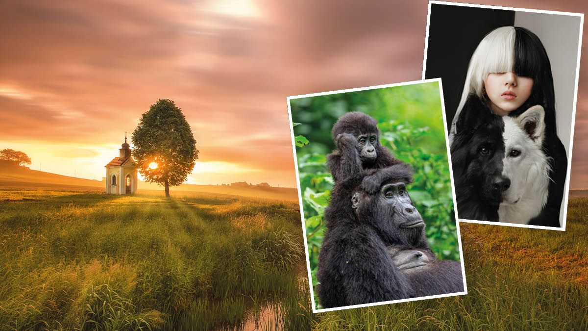 Über 1000 Werke werden gezeigt.