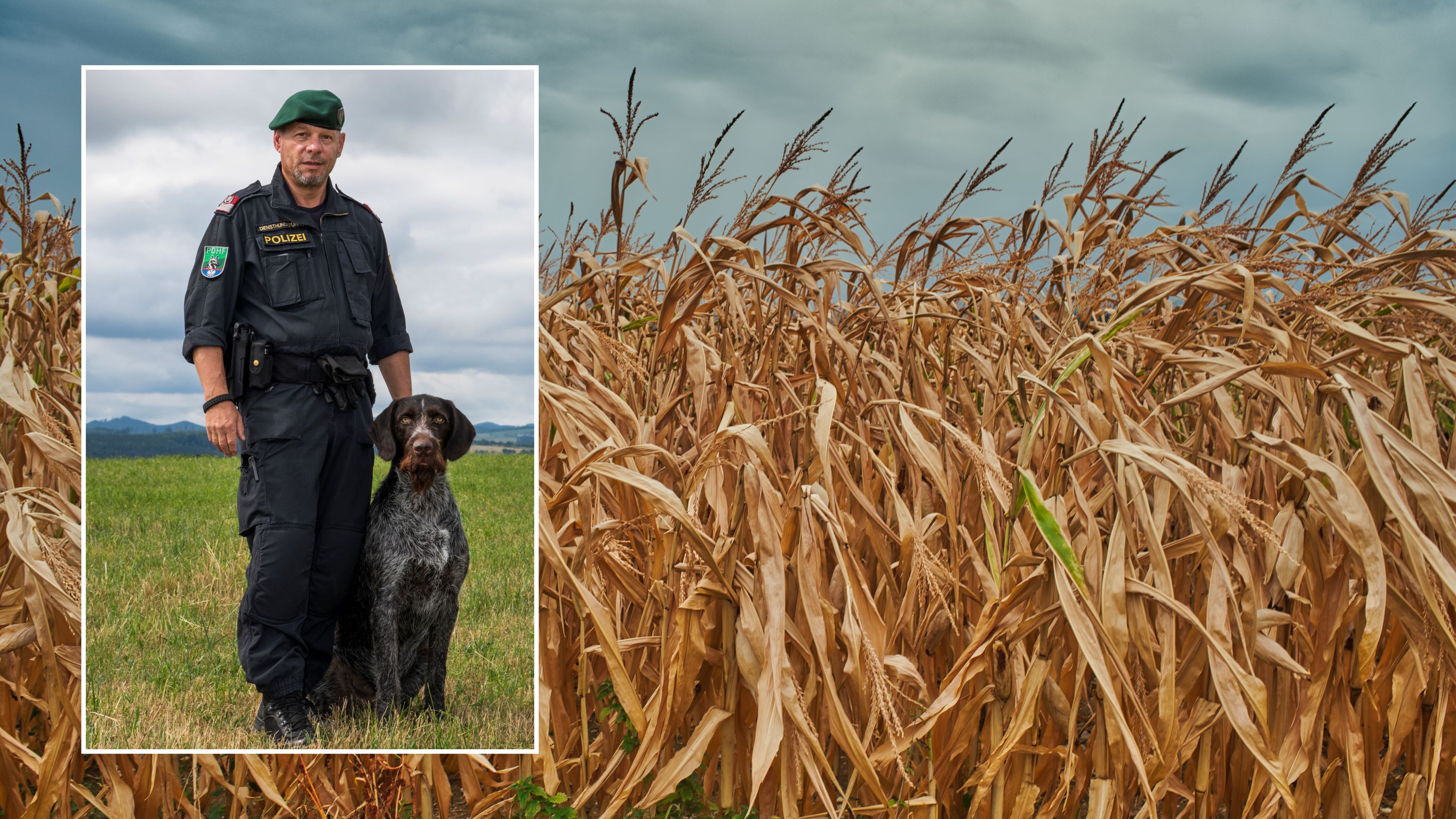 Suchhund Odin führte zum wichtigen Hinweis, um den verschwundenen Onkel zu finden.