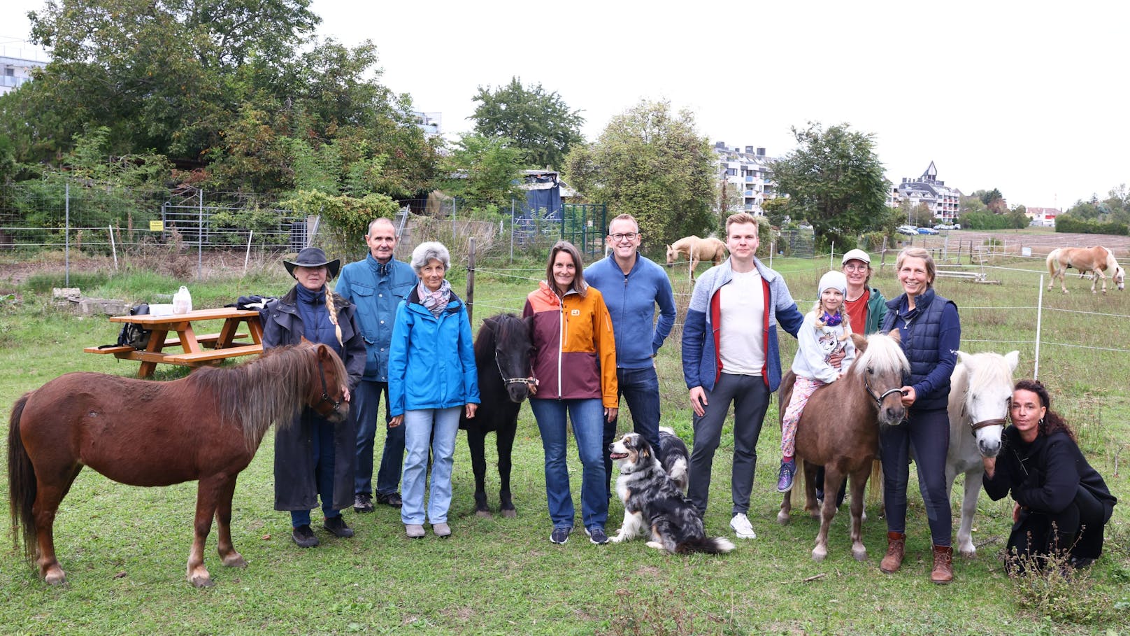 Erlebnishof vor Aus: Ponys, Katzen und Hunde müssen weg