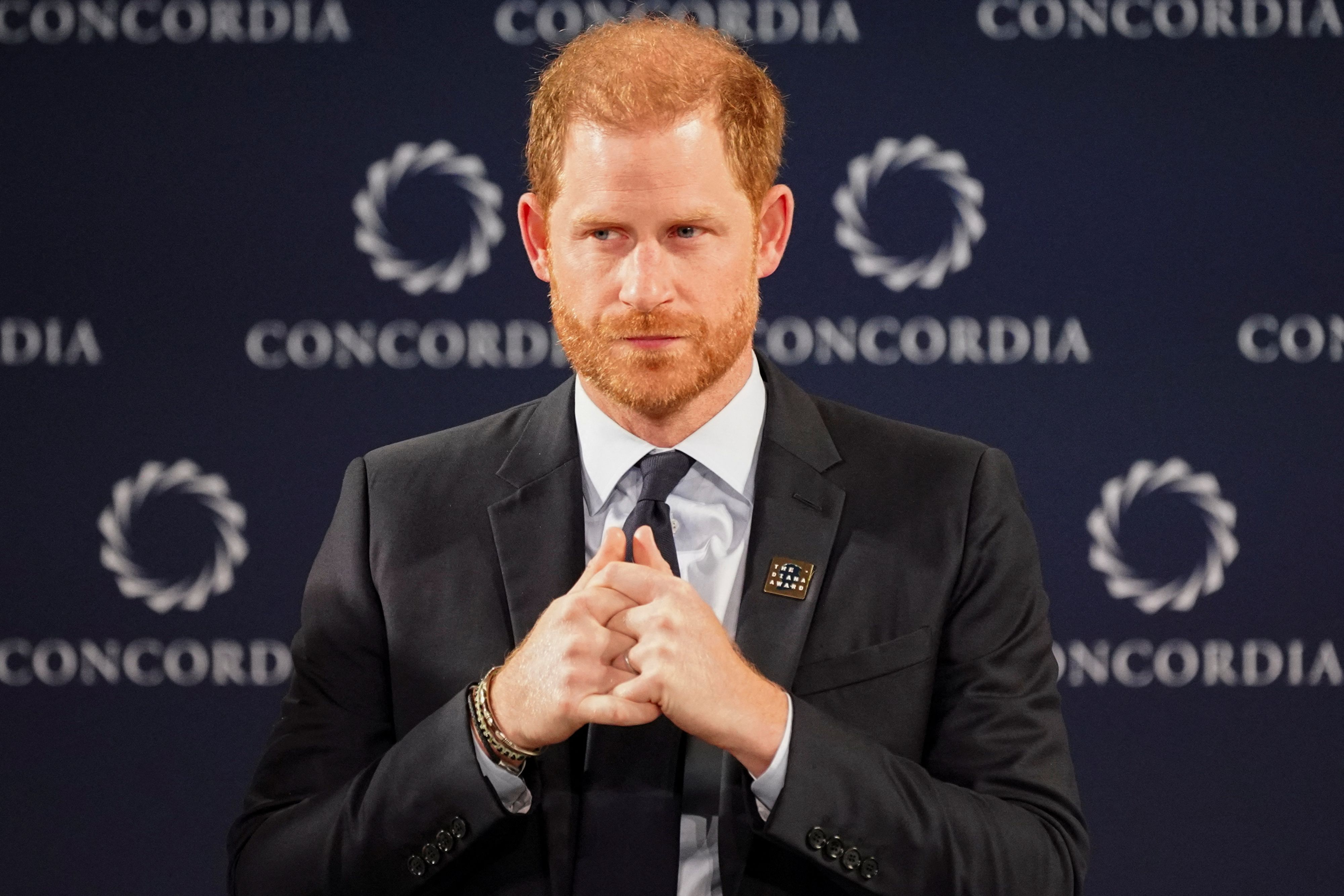 Prinz Harry will zu Ende bringen, was seine Mutter Prinzessin Diana begonnen hatte. 