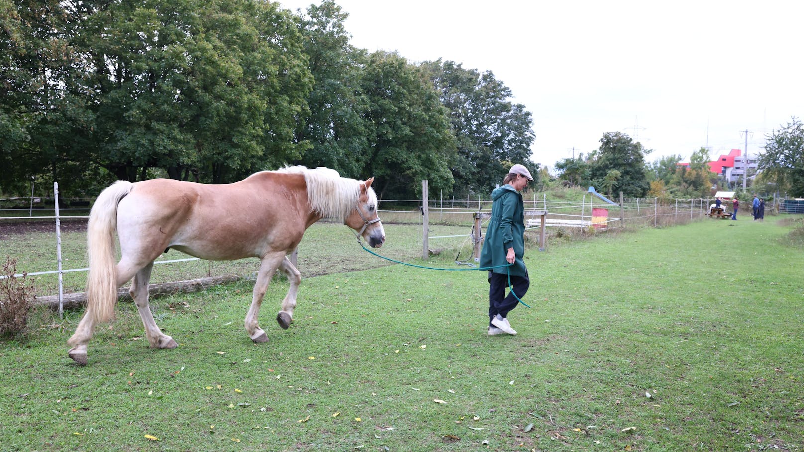 Seit rund 25 Jahren wird am Hof therapeutisches Reiten angeboten.