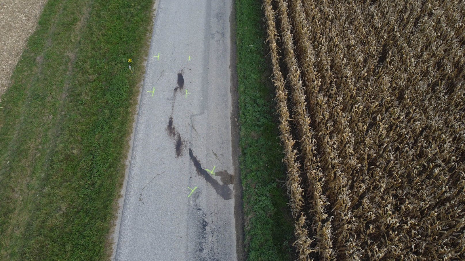 Der 15-Jährige starb nach einem schweren Mofa-Unfall im Krankenhaus.